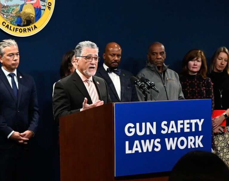 Annual Gun Registration or Face $1K Fines