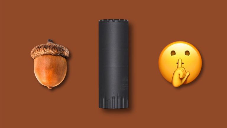Of Acorns, Crime, and SilencersThe Firearm Blog