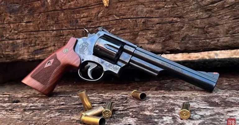 Guns of the Decades – 1970s: Smith & Wesson Model 29