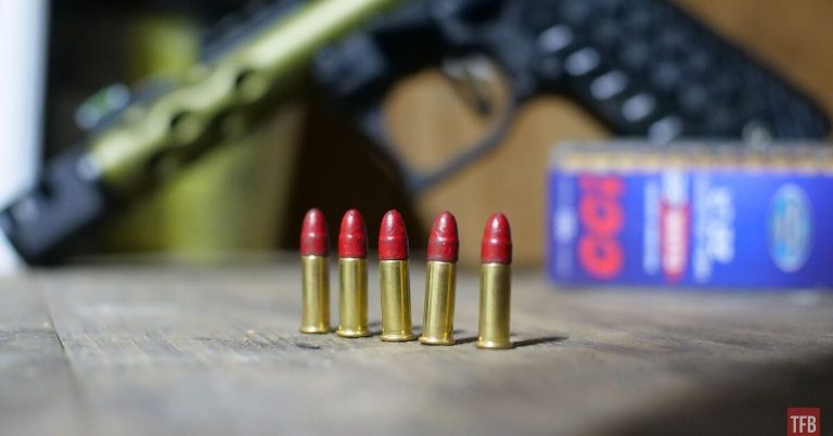 The Rimfire Report: CCI Clean-22 Steel Challenge 40-grain – Part 1