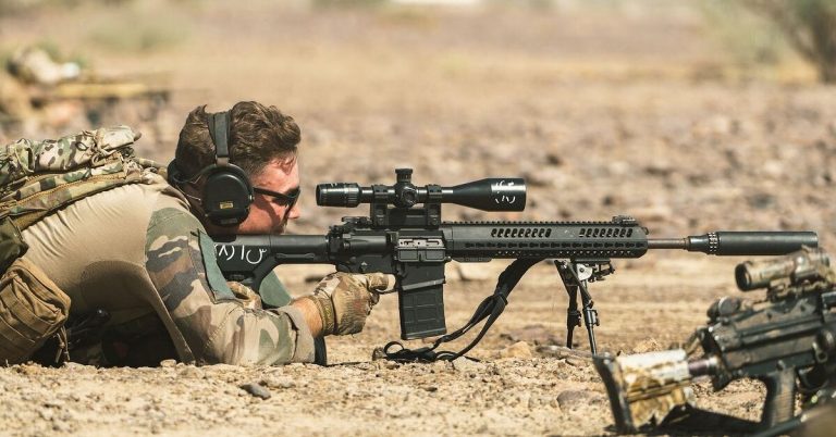 POTD: Suppressed CAR 817 DMR & Company In Action 