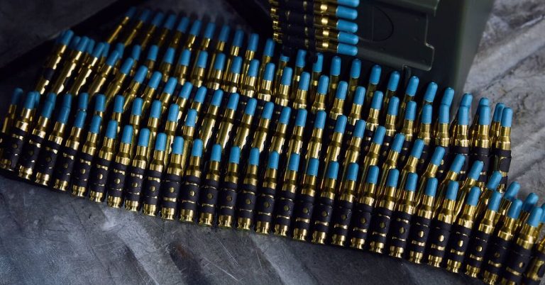 RWS UDD Ammunition – Another Drone Defense Solution by BDT