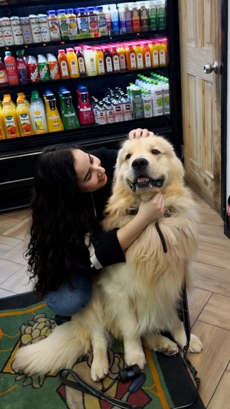 WATCH:  Golden retriever can't pass local bodega without saying 'Hi' to his girlfriend