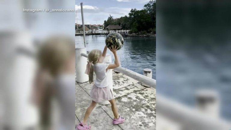 WATCH:  Little girl plays catch with a dolphin