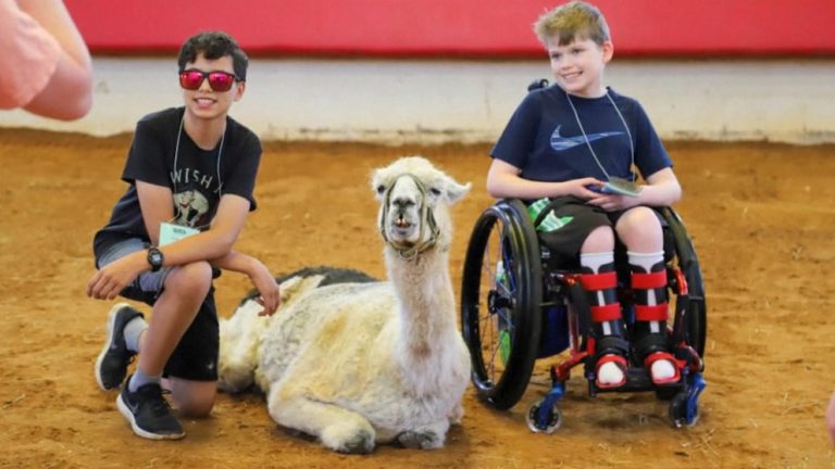 WATCH:  World's oldest llama comforts sick children