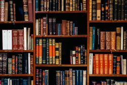 America's Librarians Became Militantly Political