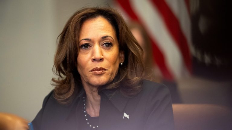 Longtime Harris supporters torn on possible 2028 presidential run