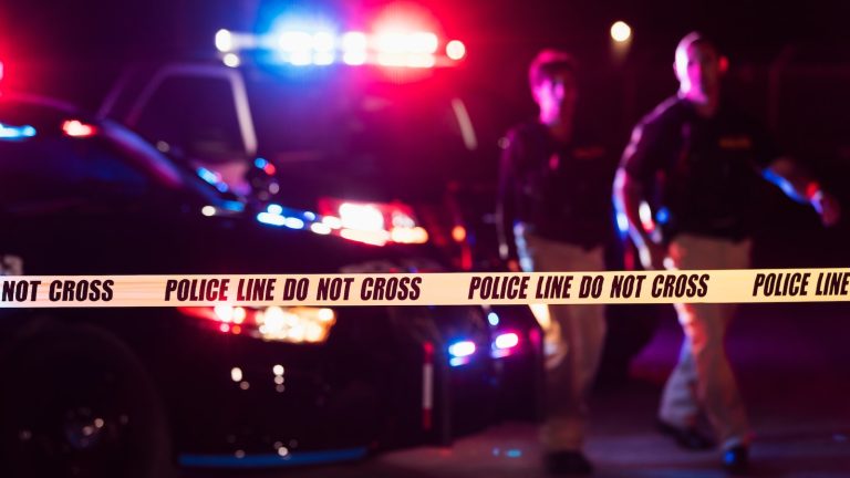 ‘Numerous’ homemade explosive devices discovered near park outside Dallas