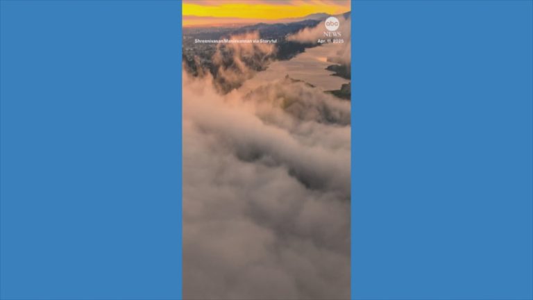 WATCH:  Drone films foggy sunrise over San Francisco Bay
