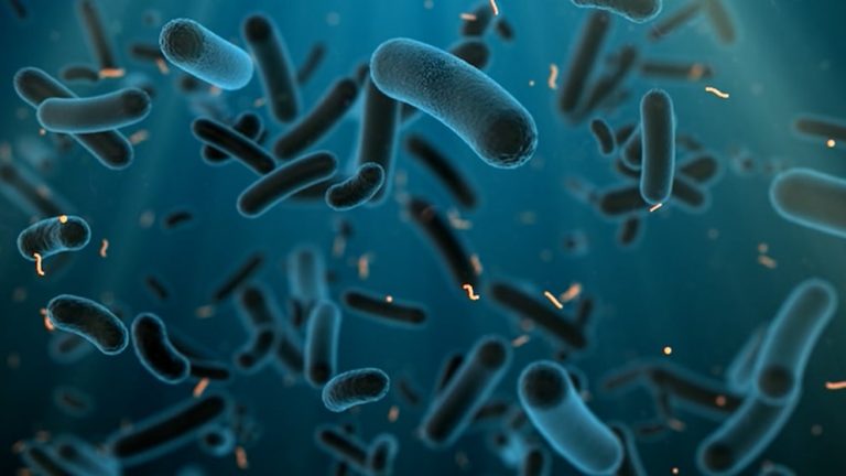 WATCH:  Hints of life found on a distant planet