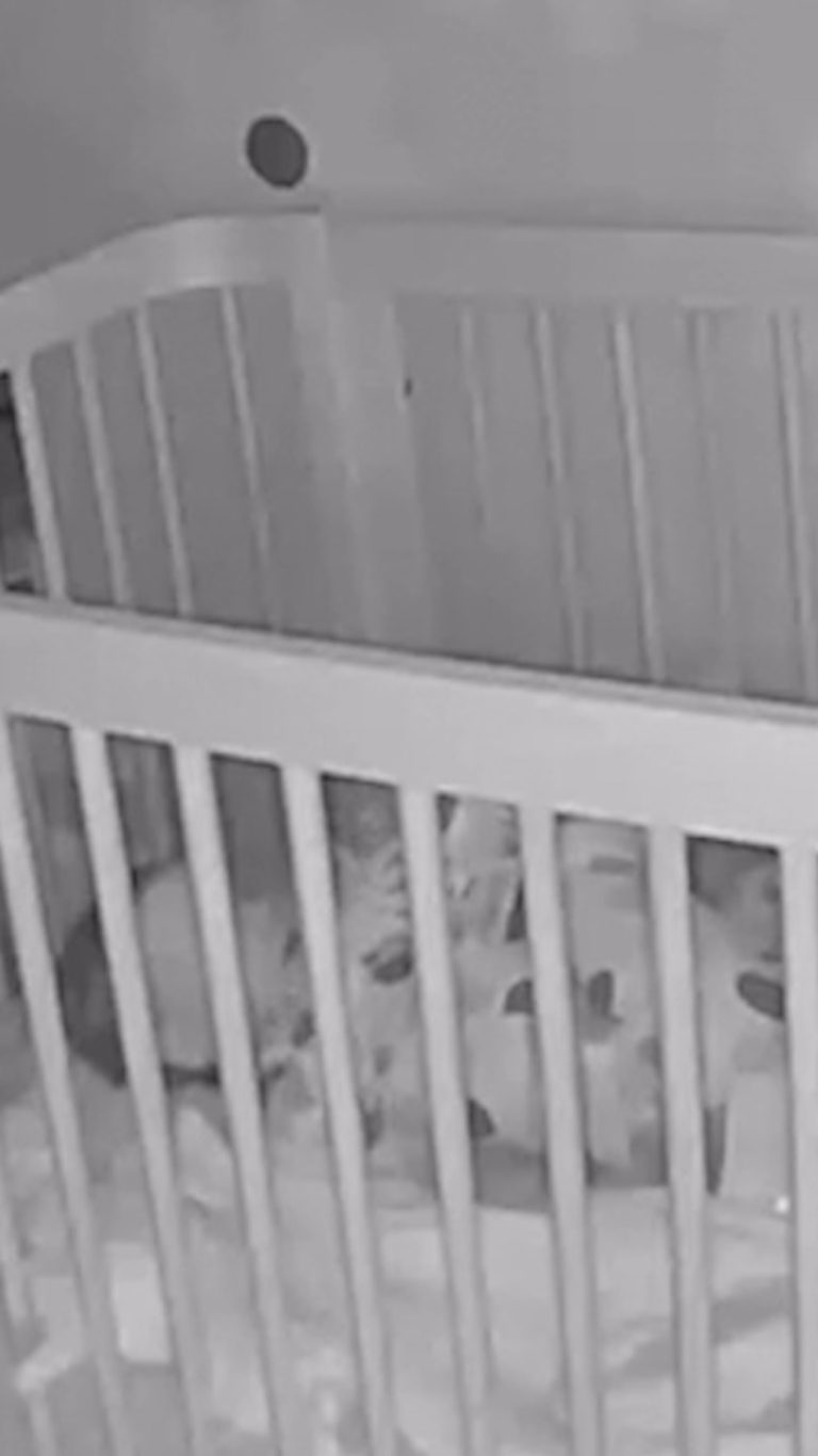 WATCH:  Hilarious 2-year-old caught chanting 'Let's go, Mets' on baby monitor