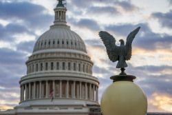 A Response to a Member of Congress