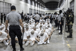 Tren de Aragua Are Effectively Terrorists and Are Here Illegally