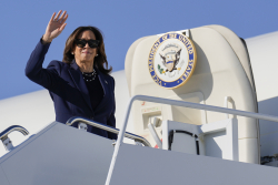 New Insights on Why Harris Lost