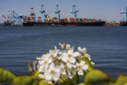 Public Opinion on Tariffs & Immigration