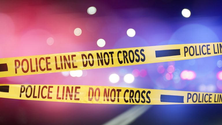 80-year-old allegedly shoots, kills fellow turkey hunter: Sheriff