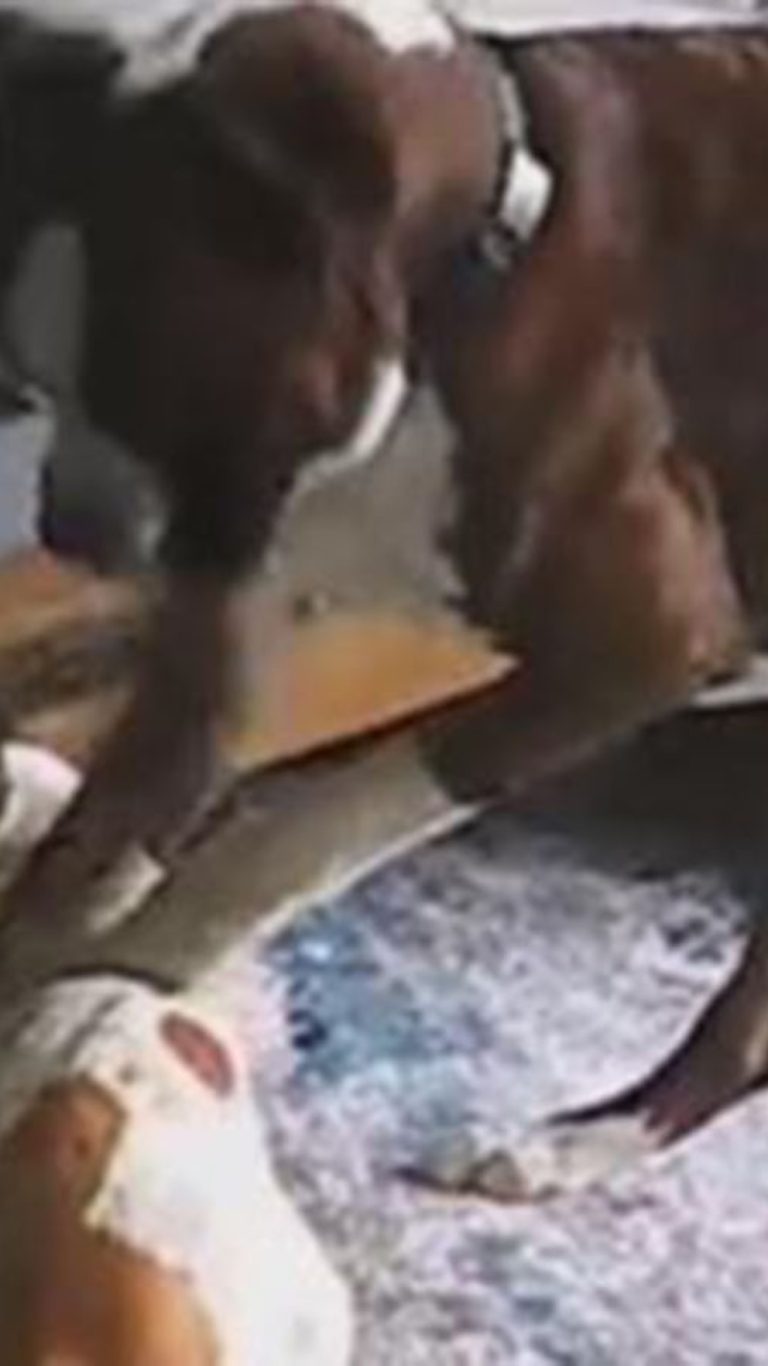 Video Boxer helps save french bulldog who was having a seizure