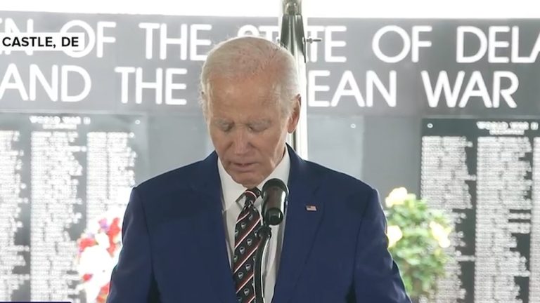 Video Former President Biden honors son Beau in Memorial Day service remarks