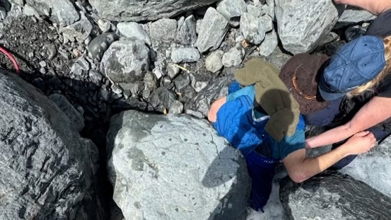 Video Man survives being pinned down by 700-pound boulder for 3 hours in Alaska creek