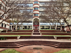 Will DEI Return to the University of Florida?