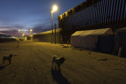 Immigration Without Assimilation Is Recipe for Suicide
