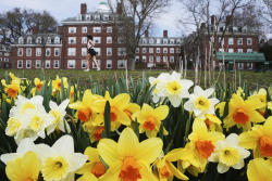 Don't Let Harvard Off the Hook for Antisemitism
