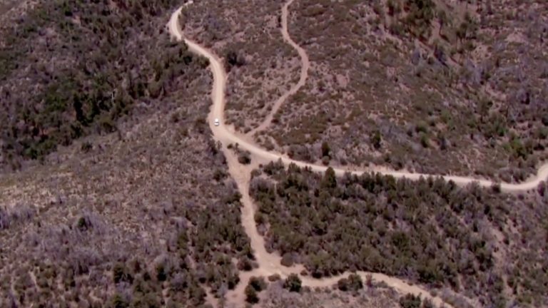 2 teens found dead in remote area of Arizona, officials investigating as possible homicide
