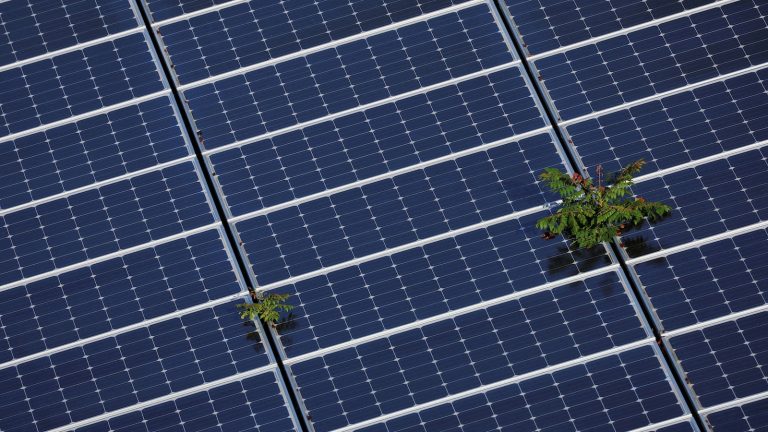 How the GOP tax bill could impact sustainability efforts
