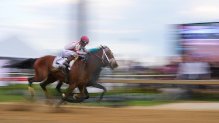 Journalism comes from behind to win the Preakness