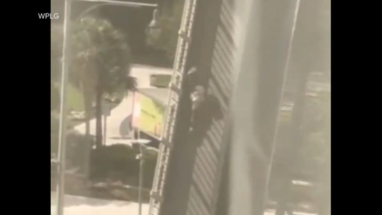 WATCH:  Woman injured after falling from drawbridge in Miami