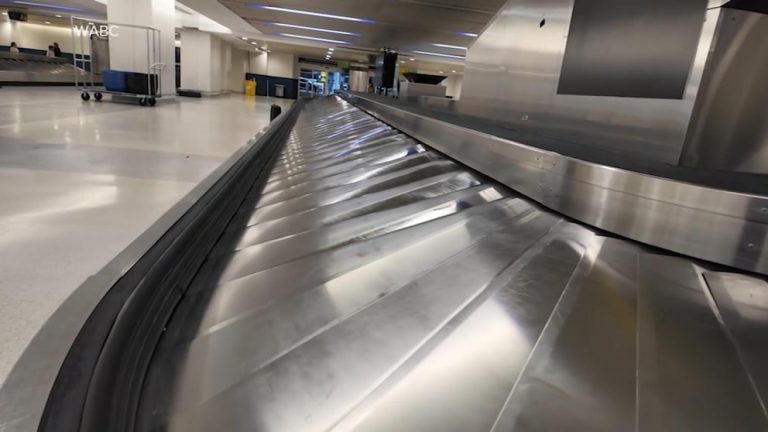 Video Toddler rescued from Newark Airport baggage conveyor belt 