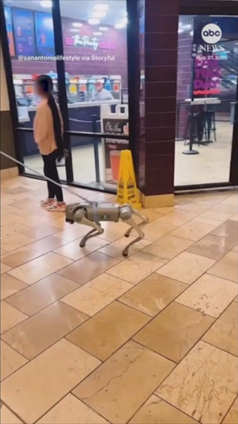 WATCH:  Robo dog goes for a walk at Texas mall
