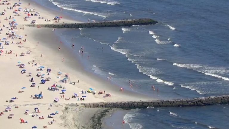 WATCH:  Suspected shark encounter at popular New York beach
