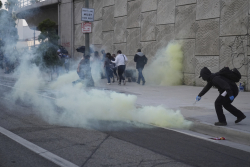 Who's Behind the Organized, Funded and Coordinated Riots?