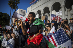 Democrats Chase Laser Pointer on Immigration