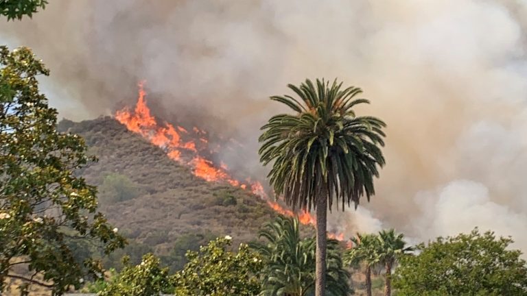 Evacuation orders issued due to brush fire burning in Los Angeles County