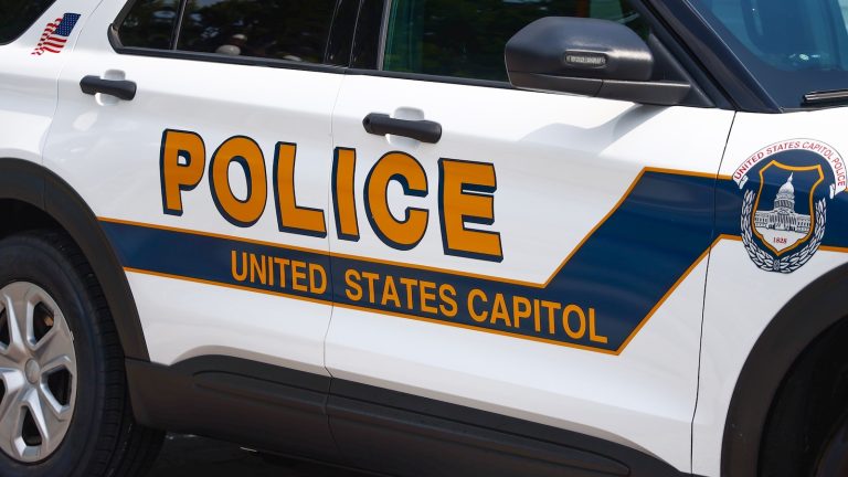 Authorities investigating pizzas anonymously sent to lawmakers, US Capitol Police leadership: Sources