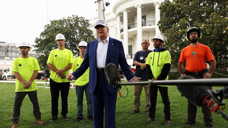 ‘Any illegal immigrants?’ Trump questions workers installing White House flagpoles