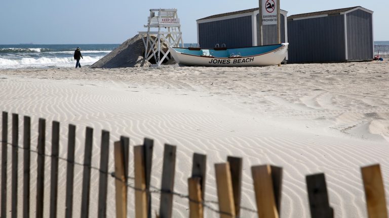 Officials believe young shark bit a woman at a New York beach