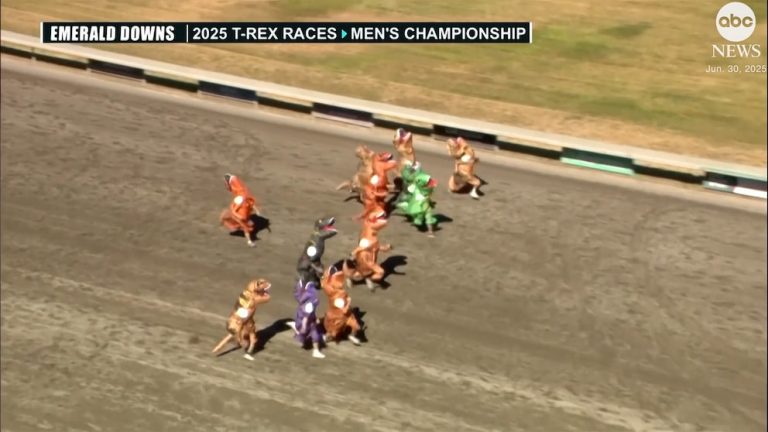 WATCH:   Racetrack crowns T. rex racing champions