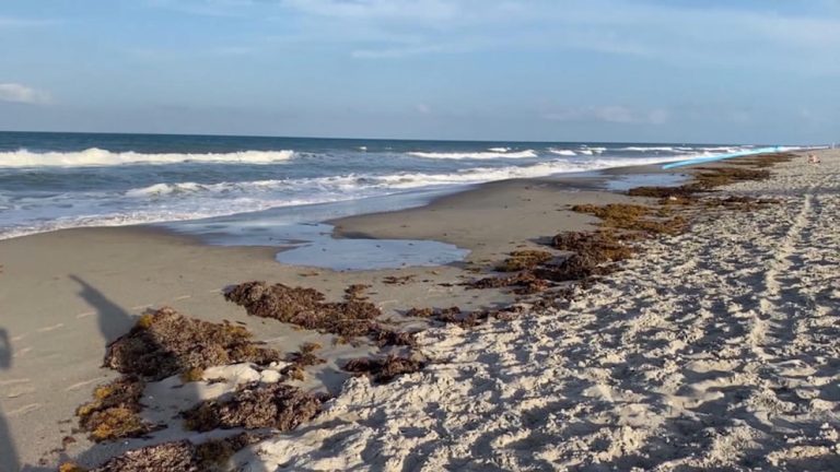 Video New advice on how to escape rip currents