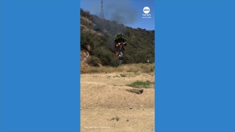 WATCH:  Hikers confront man accused of starting fire on Los Angeles trail