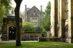 Diminishing Returns for University Endowments