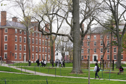 Can Alan Garber Save Harvard?