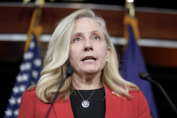 DNC Outlines Virginia-Focused Comeback Plan