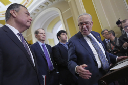 Disturbing Glimpses of Democratic Anger