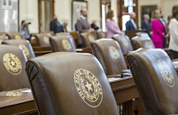 Texas Democrats Face a 'Complicated' Long Game