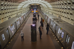 DC Crime Must Be Brought Under Control