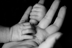Family: The Foundation of America's Next 250 Years