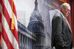 The Schumer Shutdown' of 2025